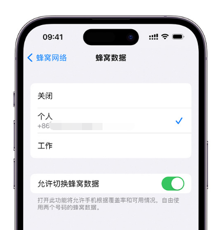 浠水苹果维修服务分享如何在iPhone上使用双卡 